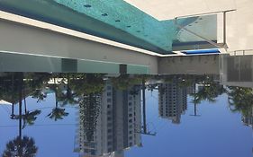 Verve On Cotton Tree